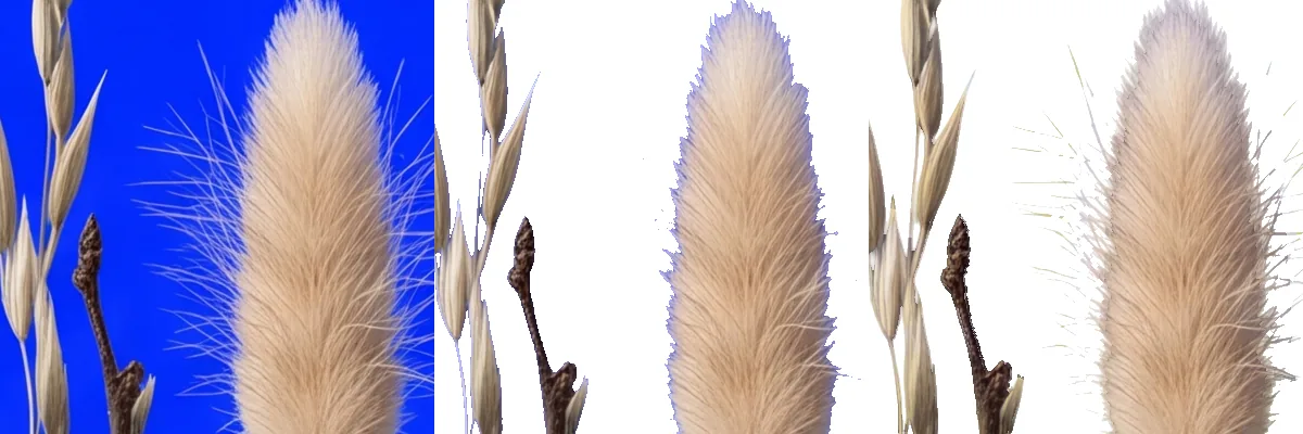 Three crops from a Nordic winter arrangement with cotton: the source region on blue, the same region cut by a hard threshold with fine detail dropped and blue-tinted edges left behind, and the ClipBrook cut of it on white