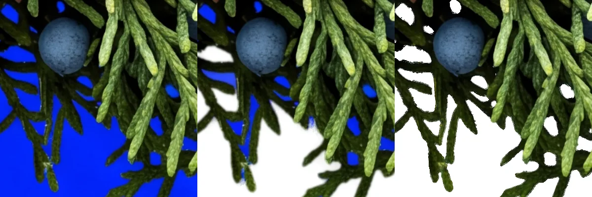 Juniper wreath with blue berries: one 400 by 400 pixel region shown three times, the source render, the birefnet-general cut of it, and the ClipBrook cut of it