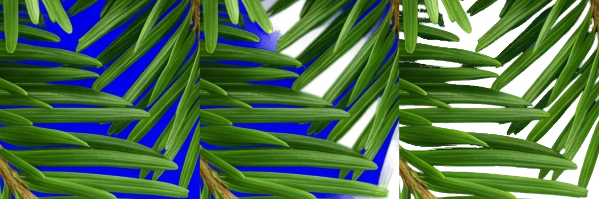 Christmas border with pine branches: one 400 by 400 pixel region shown three times, the source render, the birefnet-general cut of it, and the ClipBrook cut of it