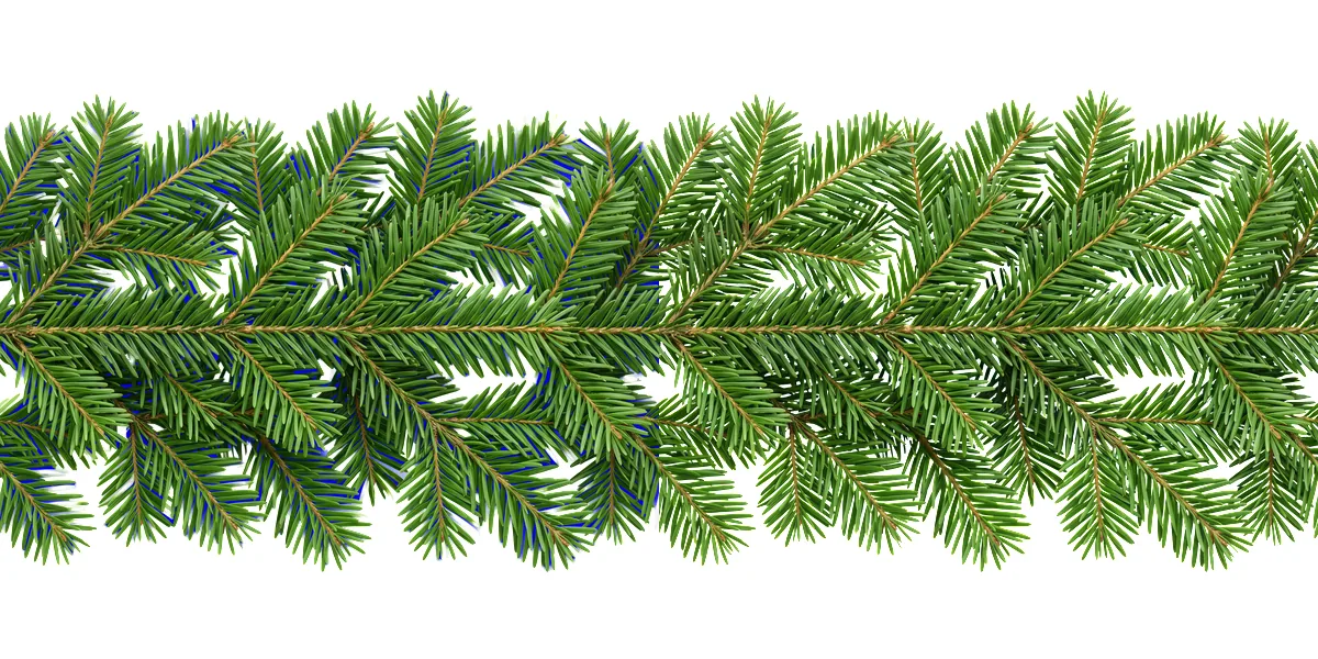 Christmas border with pine branches: the birefnet-general cut on the left, the ClipBrook cut on the right, both on white at reduced size