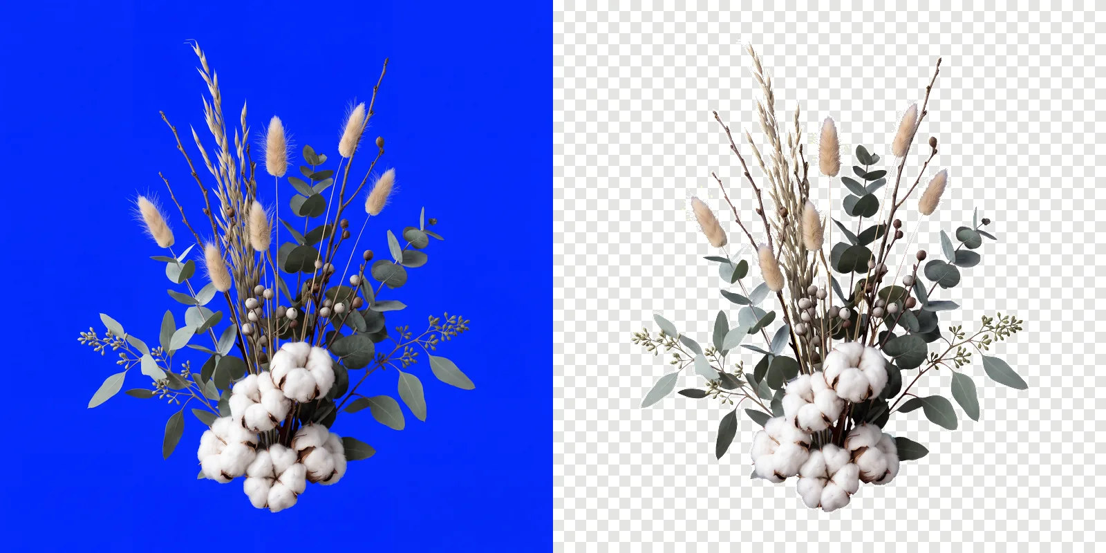 A Nordic winter arrangement with cotton rendered on a solid pure blue background, beside the same arrangement cut out onto a transparent checkerboard