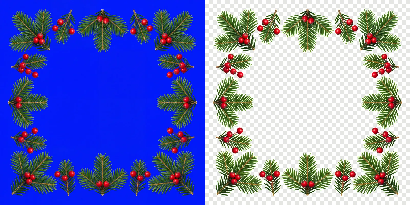 A card border of pine sprigs and berries rendered on a solid pure blue background, beside the same border cut out onto a transparent checkerboard